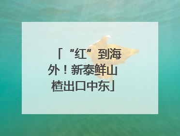 “红”到海外！新泰鲜山楂出口中东